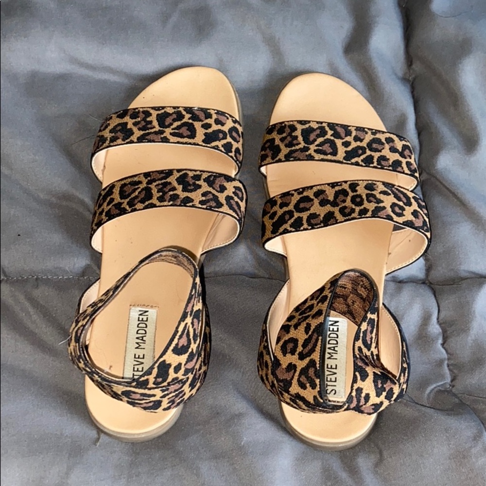 Leopard Steve Madden